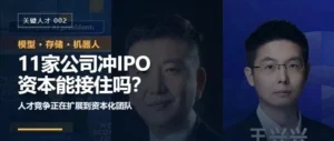 11家AI、芯片和机器人公司冲IPO：资本能接住吗？